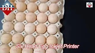six nozzle automatic egg spray coding machine printing