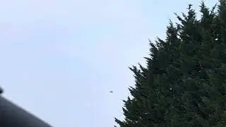 The early morning helicopter flies over stoke priors 21/11/2024