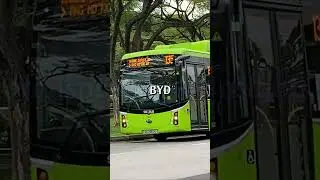 Various Brands of City Buses in Singapore #bus #sgbus #sbs #smrt #gasg #ttsg #singaporebus