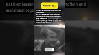 Was Wehrmachtssoldaten wirklich a&szlig;en | Der Frontalltag im Zweiten Weltkrieg