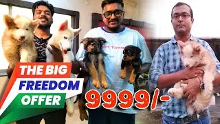 Best Dog Kennel in Kolkata | Recent Dog Puppy Price Update | dog market in kolkata | pet market
