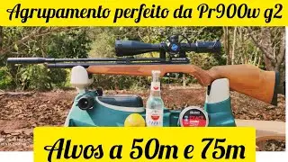 CARABINA DE PRESSAO PR900W G2 TESTE DE AGRUPAMENTO COM O CHUMBO JSB DE 15,89 GRAINS