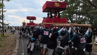 令和７年度 吉原祭 本祭 新濱組 御渡り② 2025.10.19