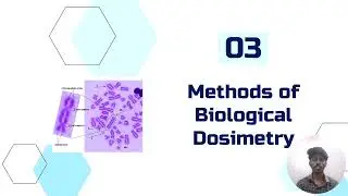 Biological Dose Measurement in Radiation Medicine. .....Radiological Equipment 