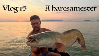 A harcsamester - Vlog #5