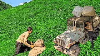 Bizarre and Beautiful Farms You Must See!