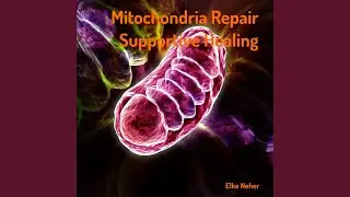 Mitochondria Repair Supportive Healing