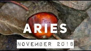 Aries November 2018 Tarot Reading: MEMORY Lane, REMEMBER your NAME !
