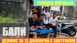 Беженец🇮🇩Бали. Водопад Nung Nung🔥🔥Убуд. Делюкс за 13 долларов с завтраком. Ген@цид муравьев.