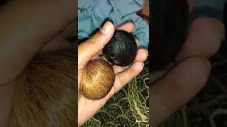 How Perfumes Are Made | Perfume Making Process | #perfume #perfumes #perfumemaking #ytshorts