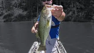 Early Summer Bass Fishing (4 Hours to Figure Them Out!)
