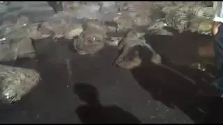 Fire in truck in front of Basmandi Hamraj complex kanpur