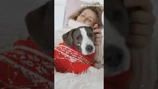 Что вызывает у домашних животных зимнюю охрану ресурсов?