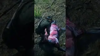 The correct way to take care of horses in RDR2