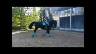 2014 *-*