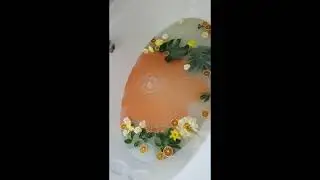 Grapefruit Bath-Bomb