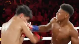 Most Violent Knockouts From Fighters Nobody Wanted To Face