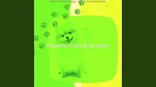 Exquisite Moods for Relaxing Puppies