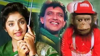 मिथुन की ANIMAL वाली सबसे खतरनाक फिल्म - Jackie Shroff - Blockbuster Hindi Movies - Divya Bharti