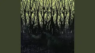 Ancestral Resonance