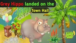 Grey Hippo Landed on the Town Hall | Hay Day Animal | Hay Day | TeMct Gaming
