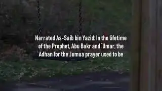 Hadith series 135