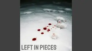Left in Pieces