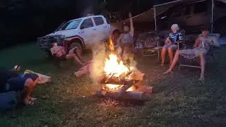 Cape Tribulation camping