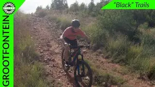 Doing the 