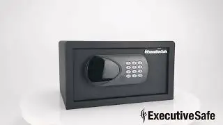 ExecutiveSafe Mini Pro Series Model ACS 2 Closed Show