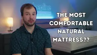 Bear Natural Mattress Review - A True Vegan Mattress? (Pros and Cons)