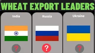 СКОЛЬКО ПШЕНИЦЫ ЭКСПОРТИРУЕТ КАЖДАЯ СТРАНА? || ЛИДЕРЫ ЭКСПОРТА ПШЕНИЦЫ