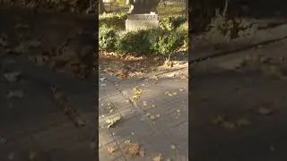 #armenia #travel #yerevan #fall2024 Yerevan in autumn
