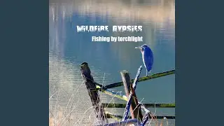 Fishing by Torchlight