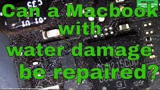 Can a Macbook with water damage be repaired?