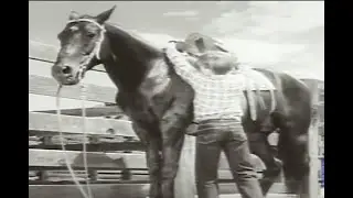 Movie Kids series   -  1955 :    Bobby Diamond  in 