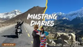 MUSTNAG DAIRIES @ramiksinghthakuri