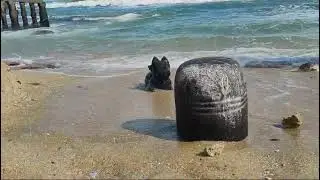 Indian Ocean | Bless everyone God | Om Namah Shivay | @mohans4| Kanyakumari #shortsfeed #shorts