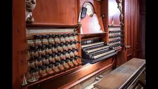 Geert Bierling | Trio a 2 dessus Lob, Ehr und Preis | Gerard Adriaanse | Müller organ Bavo Haarlem