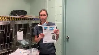 Spay/Neuter Post-Op Care Video