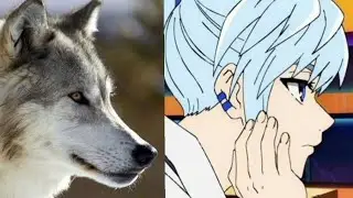 AMV/ Кун Агеро Агнис/ аниме 