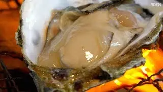 Japanese Street Food: Grilled Oysters in Sapporo - Hokkaido