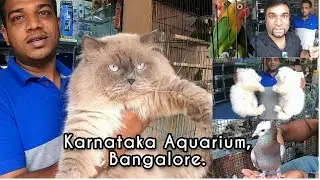 Largest collection of pets in Bangalore | Karnataka Aquarium.
