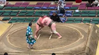 矢後VS千代ノ皇！2025年5月東京場所12日目