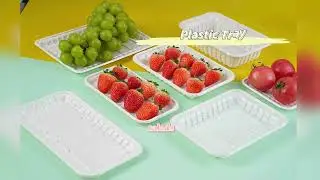Upgrade Your Food Packaging with Premium PET Trays!