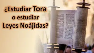 Un no&aacute;jida debe estudiar Tora o solo las Leyes No&aacute;jidas?