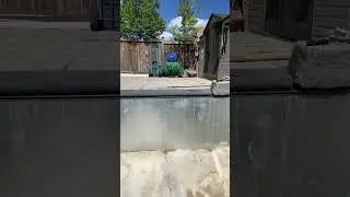 Crafted with Precision and Passion:Pool By Maurizo and Stefano @MSM Contracting! 💎 #poolperfection