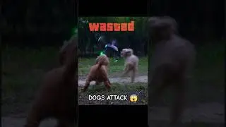 Dogs Attack On DJI Drone Funny 😅😂 #dji #drone #shorts #funny #shortsfeed #viralshorts #youtubeshorts
