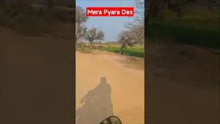kachay makana wango #entertainment