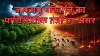 जलवायु परिवर्तन का पारिस्थितिक तंत्रों पर असर - How Climate Change Affects Ecosystems
